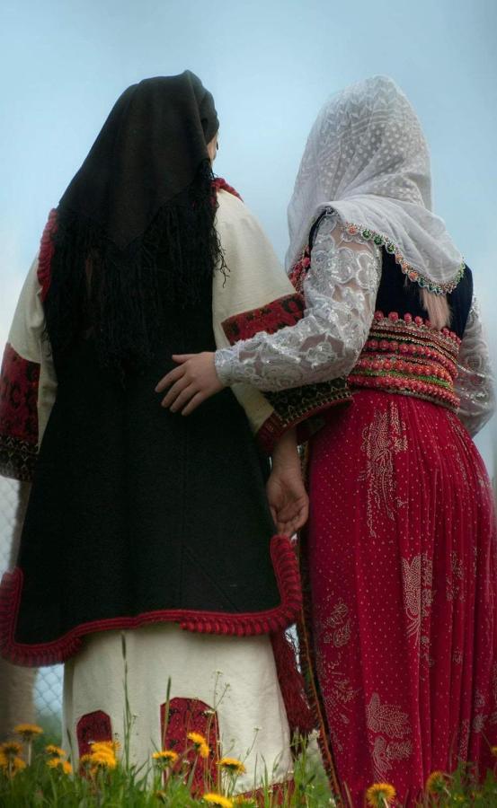Вила Здравец Yagodina Luaran gambar