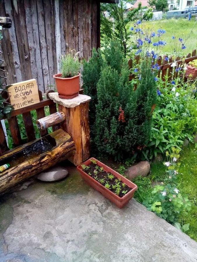 Вила Здравец Yagodina Luaran gambar